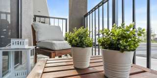 Village at Tradition Gallery 13