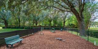 Solace Timucuan Gallery 37