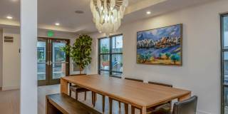 Vineyards Gallery 42