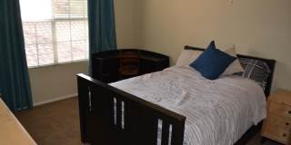 10101 N ARABIAN Trail Gallery 20