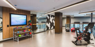 Prominence Gallery 17