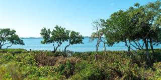 280 SAINT LUCIA DRIVE Gallery 40