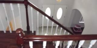 Swimming pool and spa Gallery 8