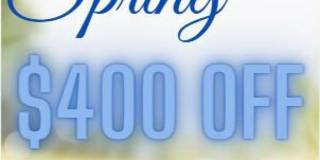 The Shore Gallery 19