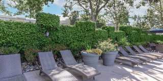 Paloma Vista Apartment Homes Gallery 3