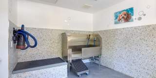 The Falls at Arden Gallery 31