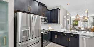 2419 FOGGY CREEK CIRCLE Gallery 5