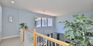 Expansive Clearwater Luxury | 6BR Pool Home w/ Solar, Outdoor Kitchen & 3+ Car Garage Gallery 56