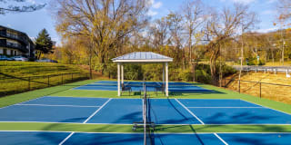 The Nelson Gallery 18