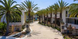 Amazing South Cove Townhome Near Doheny State Beach! Gallery 38