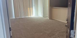 6916 ORTEGA WOODS Drive Gallery 2