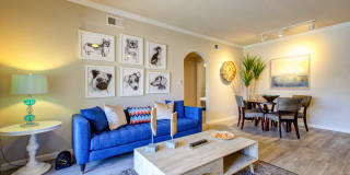 Ironhorse at Tramonto Gallery 16