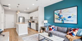 Mason Stuart Gallery 8