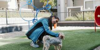 Almaden Lake Village Gallery 33