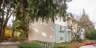 Forest Hills Forest Hills Gallery 18