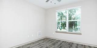 RIZE at Winter Springs Gallery 80