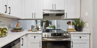 Edenfield Shores Gallery 10