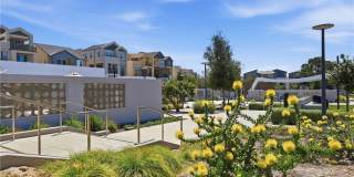 158 Restore Gallery 50