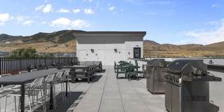 Linden Hill Gallery 12