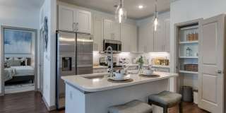 Tacara at Stone Oak Gallery 29