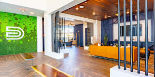The Drake Gallery 25