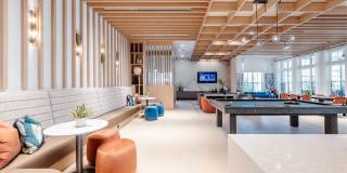 Alta Citron Gallery 21