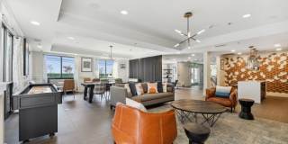 Sofi Lyndhurst Gallery 25