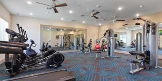 Parc at Garland Gallery 18