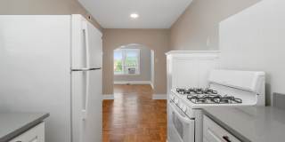 Move over, Linguini! Gallery 11