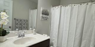 4619 FOREST PINES Drive Gallery 9