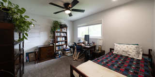 3709 Avenida Palo Verde Gallery 11