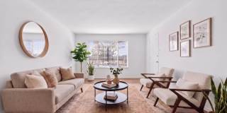 Courtyard Garden Gallery 4