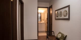 The Willows Gallery 11