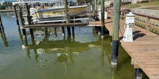 113 1ST STREET E Gallery 29