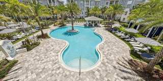 Ivory Lantana Gallery 42