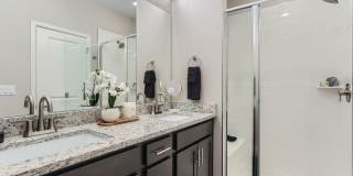 C2 Apartments Gallery 21