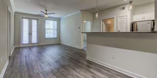 The Saulet Gallery 9