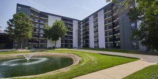 Elm at Panorama Gallery 23