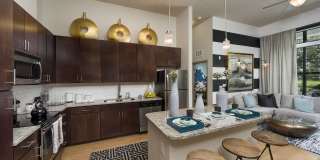 Azul Baldwin Park Gallery 2