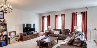 8250 RED CARNATION Court Gallery 20