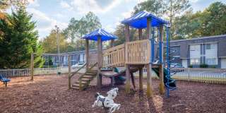 Adar at Golden Gate Gallery 8