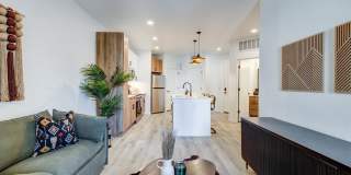 Tempo at Nine Mile Station Gallery 5