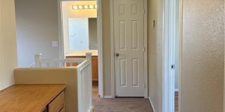 9911 Wingate Creek Court Gallery 13