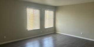6523 S LA CORTA Drive Gallery 17