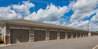 Red Knot at Edinburgh Gallery 31