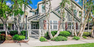 Beautifully Updated 3-Bedroom Home Across from Ladera Ranch Elementary & Avondale Clubhouse Beautifully Updated 3-Bedroom Home Across from Ladera Ranch Elementary & Avondale Clubhouse Gallery 1