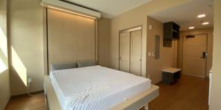 Red Oak at 83 Hanover Street Gallery 60