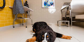 Avalon North Station Gallery 23