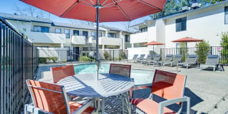 Larkspur Larkspur Gallery 5