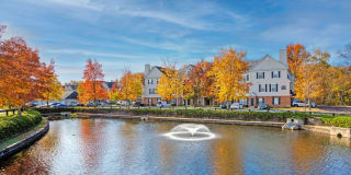 The Mercer at Lawrence Station Gallery 18